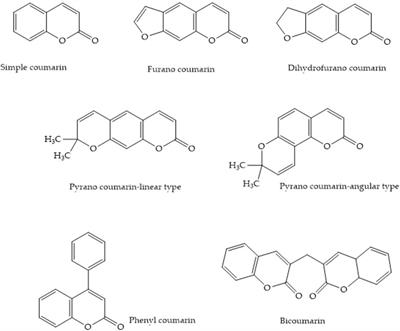 A comprehensive review on the potential of coumarin and related derivatives as multi-target therapeutic agents in the management of gynecological cancers